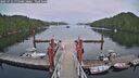 ./images/calvert/dock/20250712/dock20250712_175508M.jpg