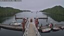./images/calvert/dock/20250713/dock20250713_162509M.jpg