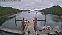 ./images/calvert/dock/20250714/dock20250714_095008M.jpg