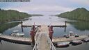 ./images/calvert/dock/20250716/dock20250716_072011M.jpg