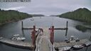 ./images/calvert/dock/20250716/dock20250716_094512M.jpg