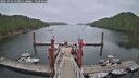 ./images/calvert/dock/20250716/dock20250716_122010M.jpg