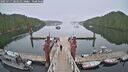 ./images/calvert/dock/20250717/dock20250717_083010M.jpg
