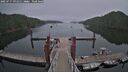 ./images/calvert/dock/20250717/dock20250717_091511M.jpg