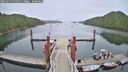 ./images/calvert/dock/20250717/dock20250717_134511M.jpg