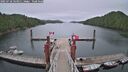 ./images/calvert/dock/20250718/dock20250718_143011M.jpg