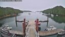 ./images/calvert/dock/20250722/dock20250722_073510M.jpg