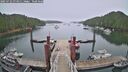 ./images/calvert/dock/20250722/dock20250722_074011M.jpg