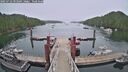 ./images/calvert/dock/20250722/dock20250722_093509M.jpg