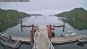 ./images/calvert/dock/20250722/dock20250722_195009M.jpg