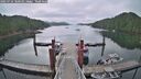 ./images/calvert/dock/20250724/dock20250724_100510M.jpg