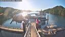 ./images/calvert/dock/20250729/dock20250729_072010M.jpg