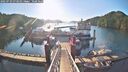 ./images/calvert/dock/20250729/dock20250729_073010M.jpg