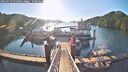 ./images/calvert/dock/20250729/dock20250729_073506M.jpg