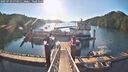 ./images/calvert/dock/20250729/dock20250729_074011M.jpg