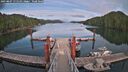 ./images/calvert/dock/20250807/dock20250807_175510M.jpg