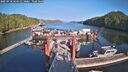 ./images/calvert/dock/20250918/dock20250918_164512M.jpg
