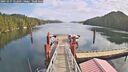 ./images/calvert/dock/20251017/dock20251017_122501M.jpg