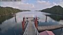 ./images/calvert/dock/20251017/dock20251017_134502M.jpg