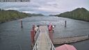 ./images/calvert/dock/20251018/dock20251018_090501M.jpg