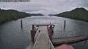 ./images/calvert/dock/20251018/dock20251018_152501M.jpg
