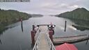 ./images/calvert/dock/20251019/dock20251019_094501M.jpg