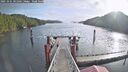 ./images/calvert/dock/20251021/dock20251021_101501M.jpg