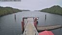 ./images/calvert/dock/20260131/dock20260131_143002M.jpg