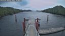 ./images/calvert/dock/20260204/dock20260204_080501M.jpg