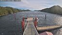 ./images/calvert/dock/20260204/dock20260204_110502M.jpg