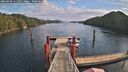 ./images/calvert/dock/20260206/dock20260206_115001M.jpg