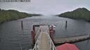 ./images/calvert/dock/20260209/dock20260209_081501M.jpg
