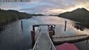 ./images/calvert/dock/20260210/dock20260210_090501M.jpg
