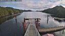 ./images/calvert/dock/20260210/dock20260210_110501M.jpg