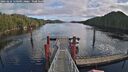 ./images/calvert/dock/20260210/dock20260210_120001M.jpg