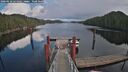 ./images/calvert/dock/20260210/dock20260210_144002M.jpg