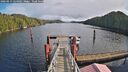 ./images/calvert/dock/20260213/dock20260213_124501M.jpg