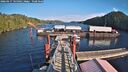 ./images/calvert/dock/20260217/dock20260217_145002M.jpg