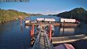 ./images/calvert/dock/20260217/dock20260217_154501M.jpg