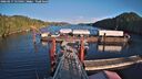 ./images/calvert/dock/20260217/dock20260217_155001M.jpg