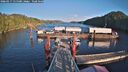 ./images/calvert/dock/20260217/dock20260217_155501M.jpg
