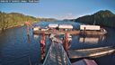 ./images/calvert/dock/20260217/dock20260217_160001M.jpg