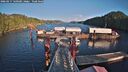 ./images/calvert/dock/20260217/dock20260217_160501M.jpg