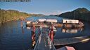 ./images/calvert/dock/20260217/dock20260217_161001M.jpg