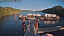 ./images/calvert/dock/20260217/dock20260217_161501M.jpg