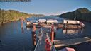 ./images/calvert/dock/20260217/dock20260217_162001M.jpg