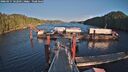 ./images/calvert/dock/20260217/dock20260217_162501M.jpg