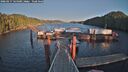 ./images/calvert/dock/20260217/dock20260217_164501M.jpg
