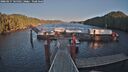 ./images/calvert/dock/20260217/dock20260217_165501M.jpg