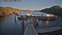 ./images/calvert/dock/20260217/dock20260217_170001M.jpg